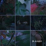 拍出雨天🌧️的静谧与情绪！