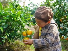 -前小桔亲子创意农场·草莓采摘·露营烧烤