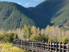 -泸沽湖国家级风景名胜区走婚桥