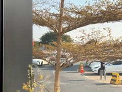 -来回·咖啡(钟村咖啡豆店)