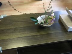 -猫音日语留学培训