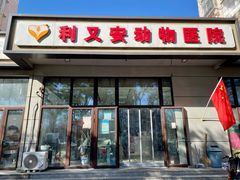 -利又安动物医院··老年病·猫科犬科·中兽医