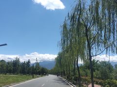 -洨河生态公园