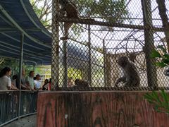 -广东茂名森林公园