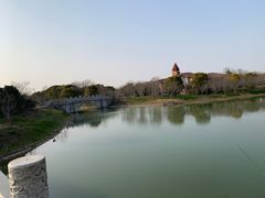 -上海海湾国家森林公园