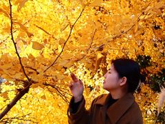 -腾爱熊猫咖啡生活馆(老东门店)