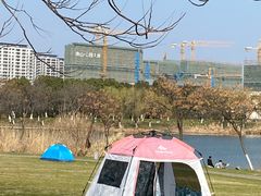 -九里河湿地公园