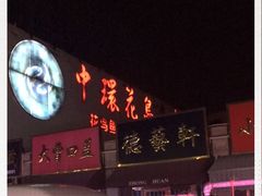 -中环花鸟鱼虫市场