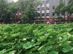 -四川大学(望江校区)