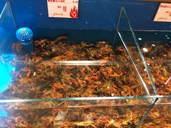 -鼎原力量东北吊炉烧烤(幸福街店)