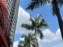 -大家乐(广州番禺祈福店)