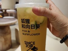 -狐狸和向日葵(北京路店)
