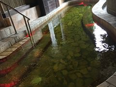 -泉城欧乐堡戏水湾艺术养生温泉