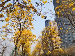-洲头咀公园
