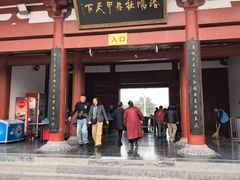-神州牡丹园