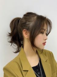 -IDOL-PLUS