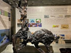 -乐山乌木文化博览苑