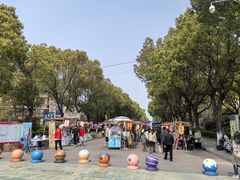 -高东镇樱花园