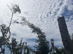 -海南热带野生动植物园