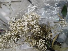 -雪蔓之鲜花气球派对(家佳源时代中心店)