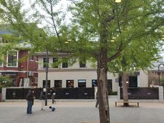 -天正河鲀·河豚亭(大连店)