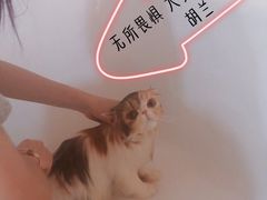 -十年猫舍·猫咪专门店(普陀店)
