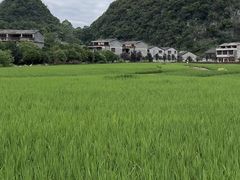 -高荡千年布依古寨旅游景区