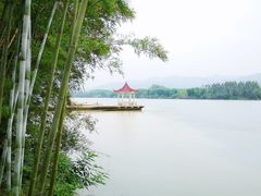 -苏家围·东江画廊旅游景区