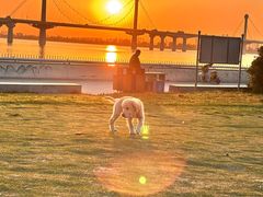 -嘉馨宠物医院·CT影像转诊·心脏科·犬猫全科诊疗中心(下沙大学城院区)