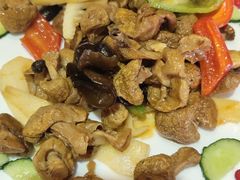 素炒野黄菇-清真益鑫羊肉手抓馆(南大街店)