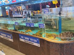 -鱼满舱·鲜活海鲜·正宗鲁菜
