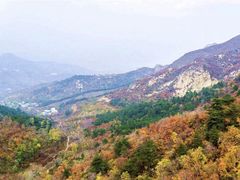 -大芦花风景区