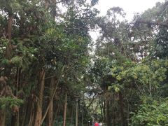-福清灵石山国家森林公园