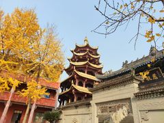 -磁器口古镇