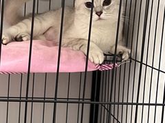 -爱诺耐芙动物医院(万博店)