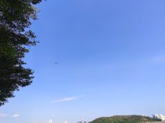-海沧湾公园