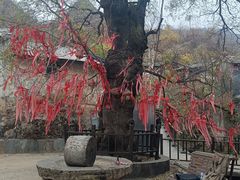 -水峪民俗村