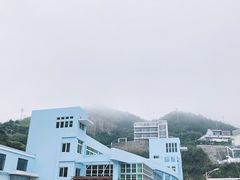 -枸杞岛