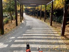 -九龙潭景区