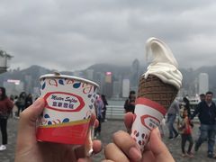 -富豪雪糕车流动点(尖沙咀店)