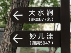 -阳台山自然风景区