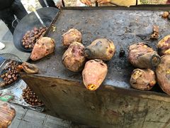 -广东外语外贸大学(白云山校区)