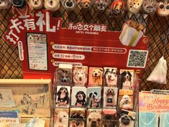 -和它·交个朋友·狗咖猫咖(爱琴海店)