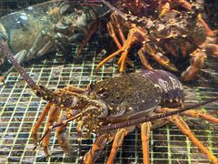 -海鲜e族(马王堆店)