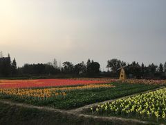 -田园东方蜜桃村的田野营地