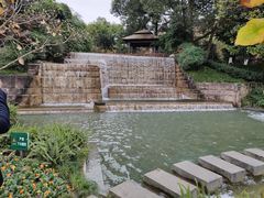 -成飞公园