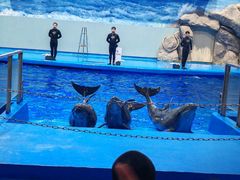 -福州罗源湾海洋世界旅游区