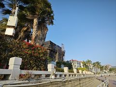 -白城沙滩