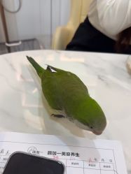 -颜加一•趣爱眼·科技美容养生