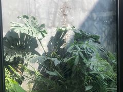 -大芬美术馆